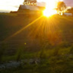 Meet your Posher, Anne